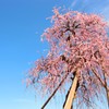 春の空