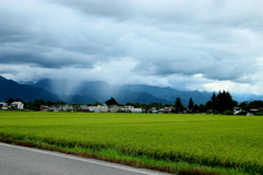 The rain