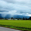 The rain