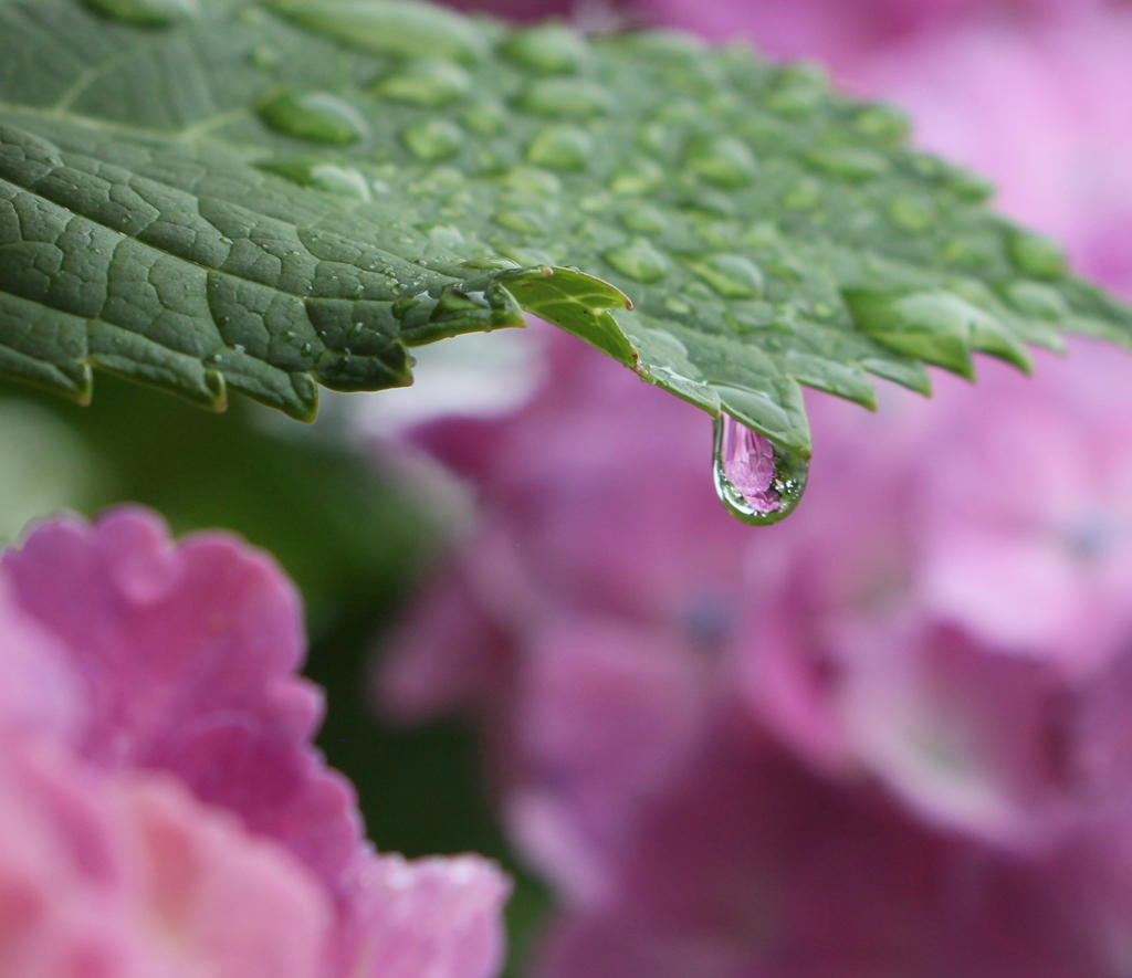 雨の中で
