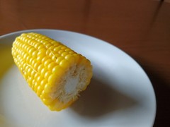 初物！