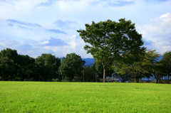 空とベンチと木と