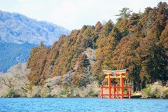 箱根神社