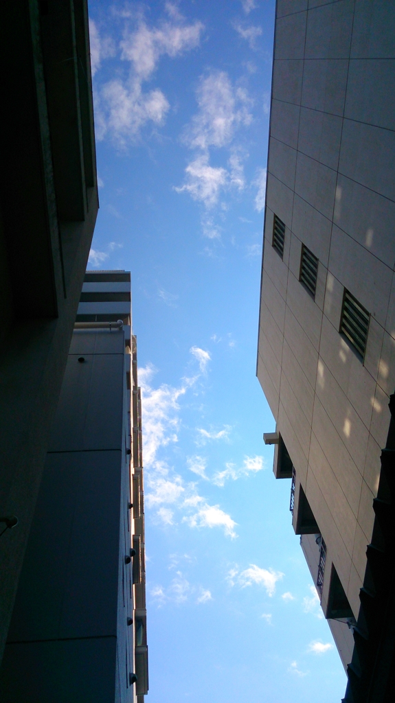 見上げれば