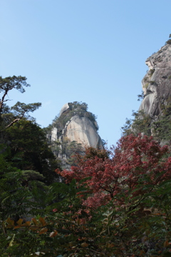 修行場