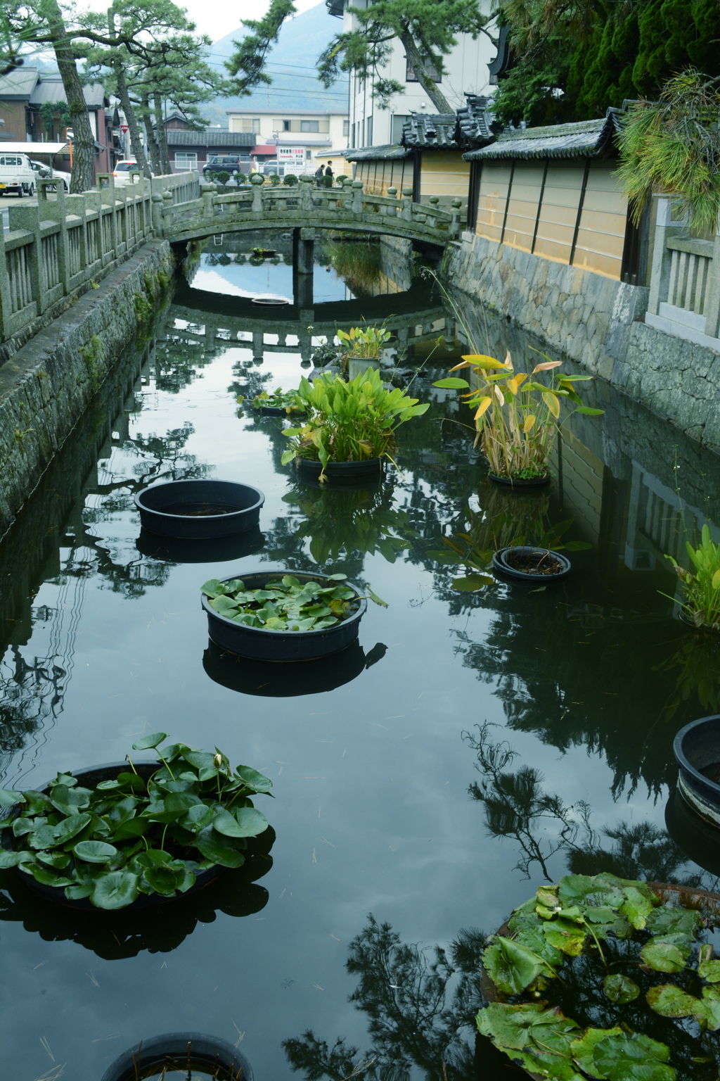 善通寺