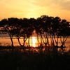 琵琶湖の夕日