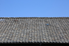 青空と屋根