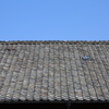 青空と屋根
