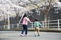 桜の木の下で