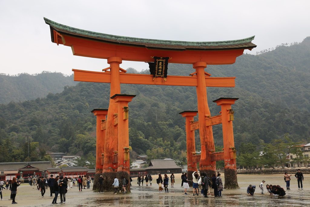大鳥居に接近
