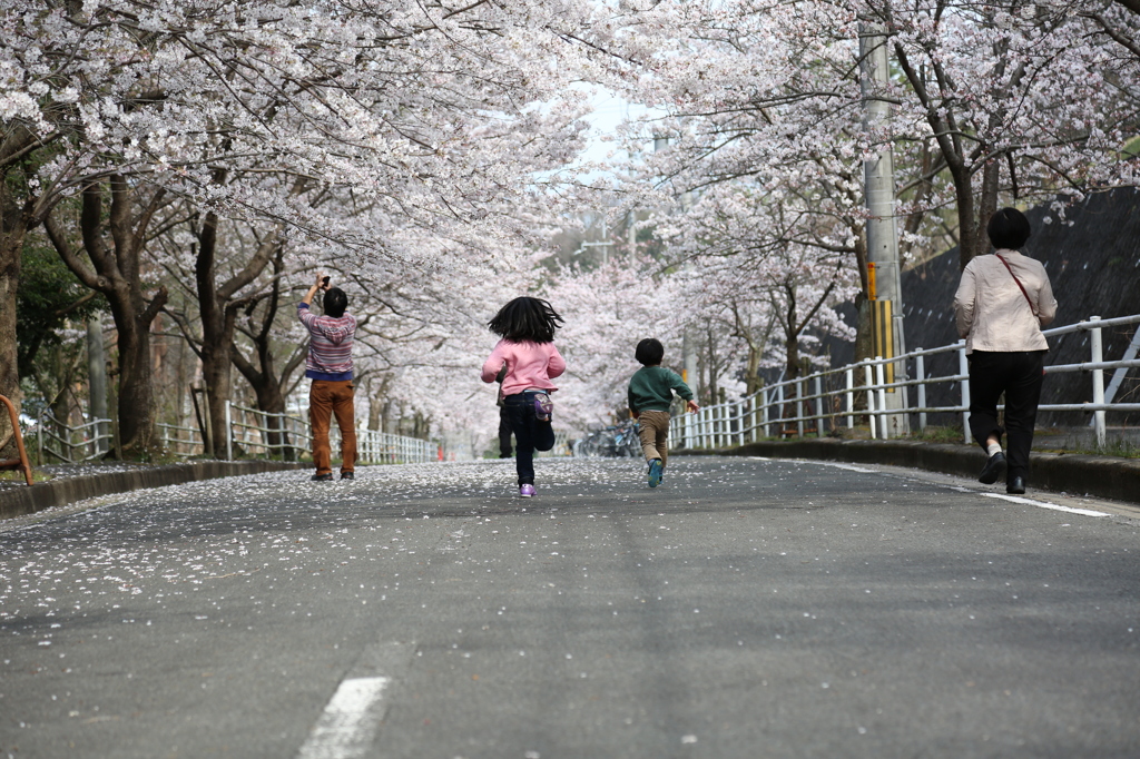 桜の木の下で２