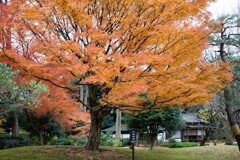 六義園-1
