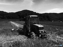 kubota