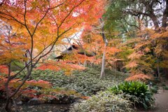 六義園−３