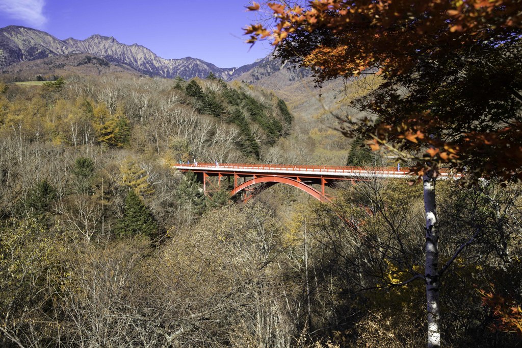 東沢大橋 (1 - 1)