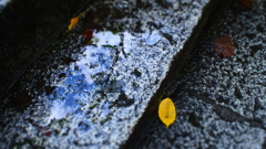 雨あがり