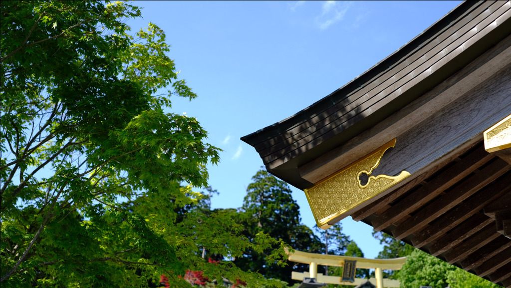 秋葉山の青い空