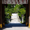 秋葉山の門