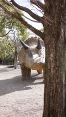 豊橋にて