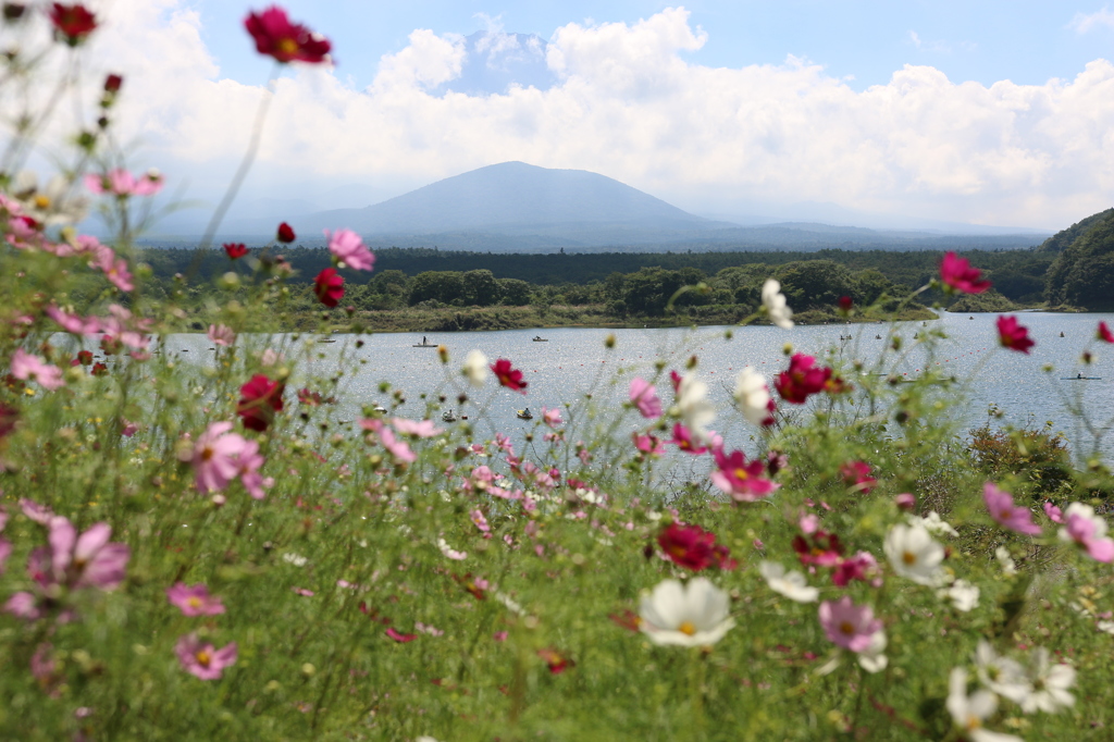 精進湖にて