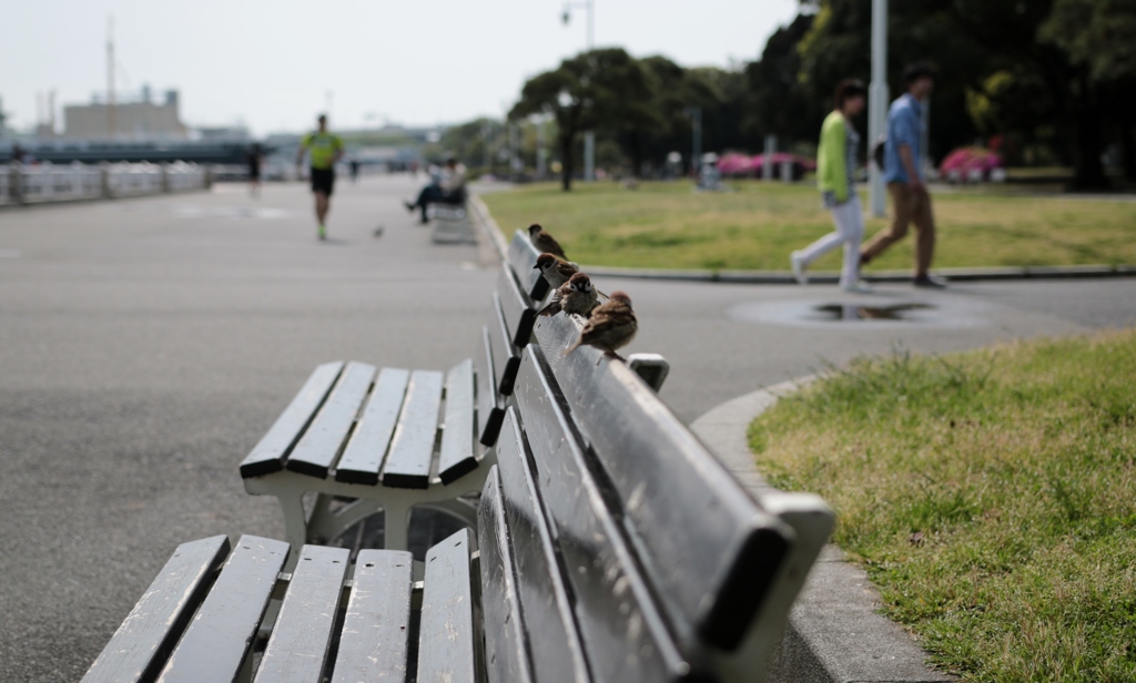 山下公園にて