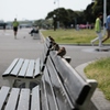 山下公園にて