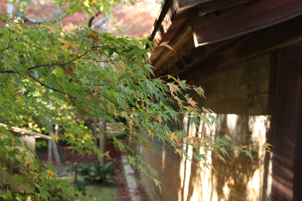 龍安寺