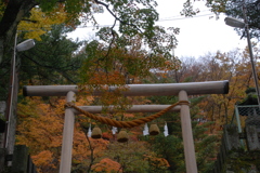 伊香保神社　鳥居