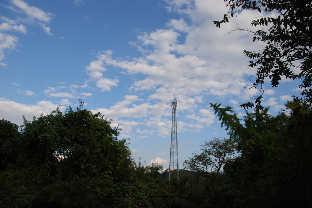 雲に届くかな・・・？