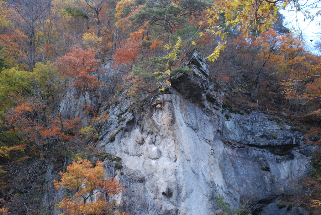 紅葉に一味添えて・・・・スズメバチの巣