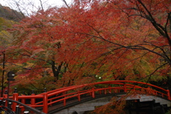 群馬県　河鹿橋