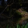 鉢の木物語の池