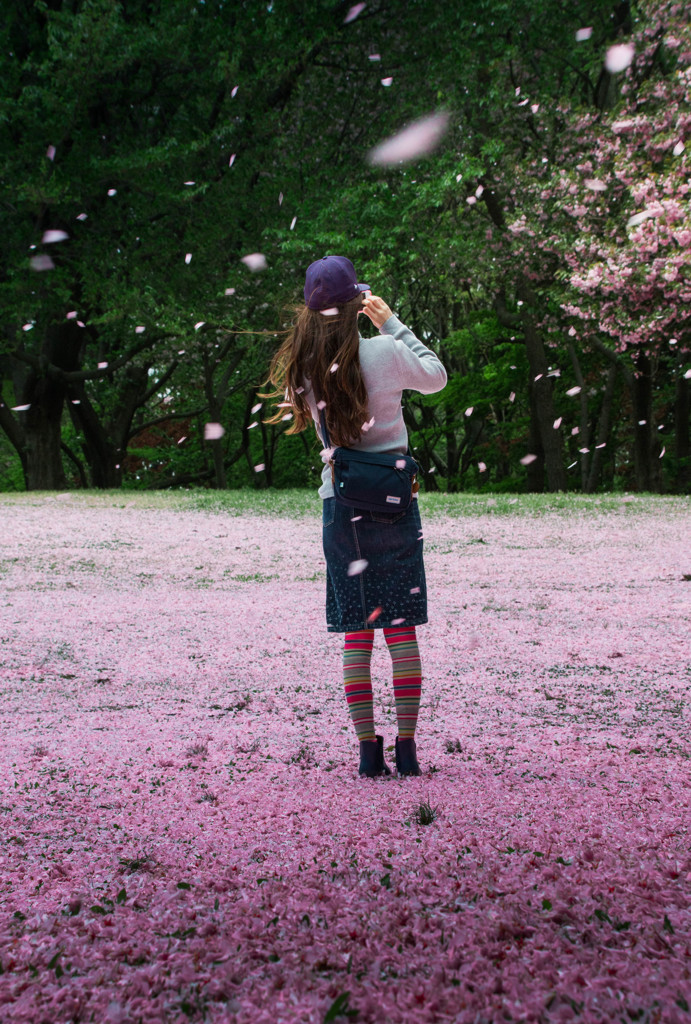 桜吹雪と晴女