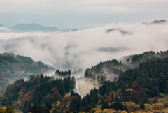 霧に包まれる里