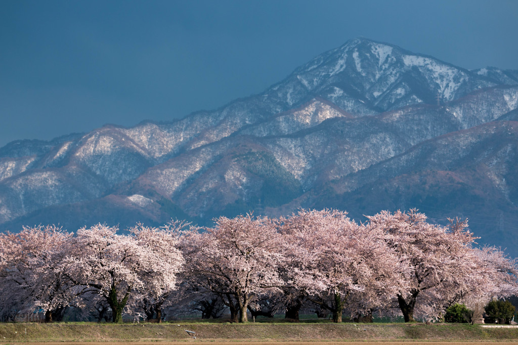 菅名岳