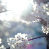 躁