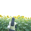 夏を写す