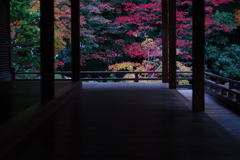 冬が早い