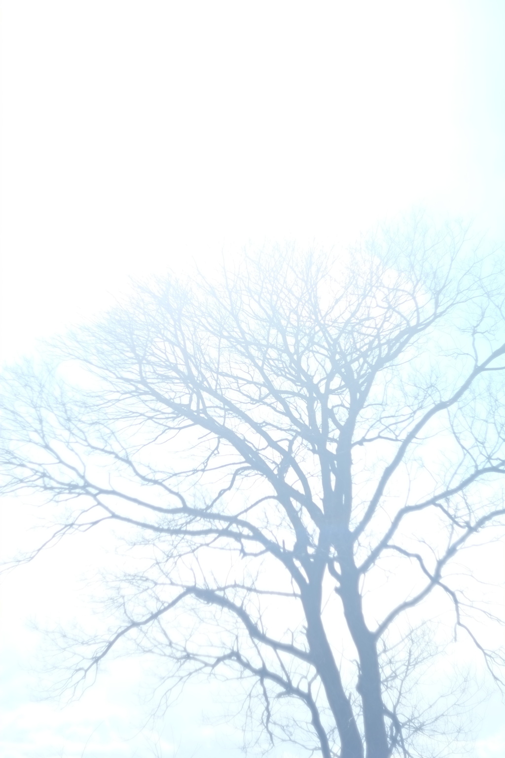出会えてよかった