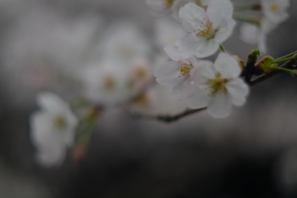 溶けていく