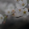 溶けていく