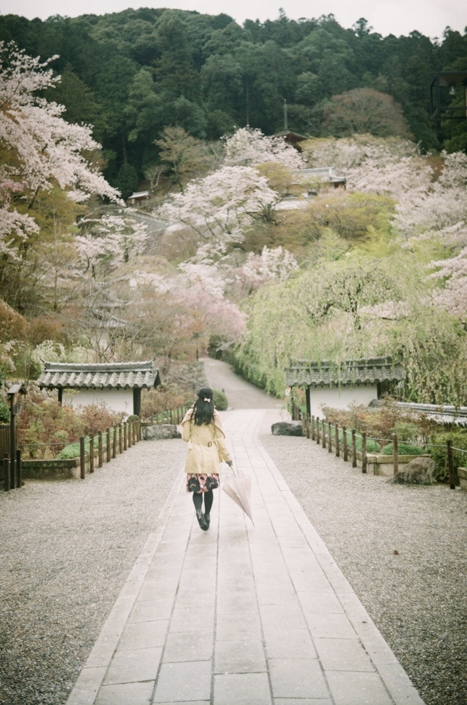 雨花見１