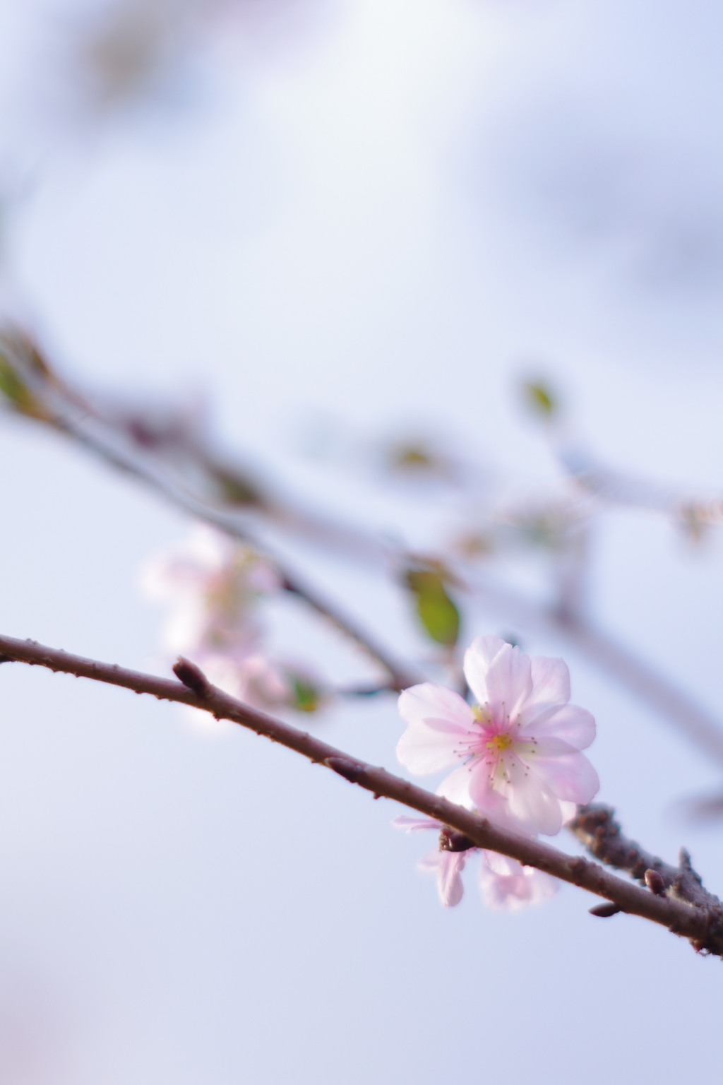 寒い季節へ