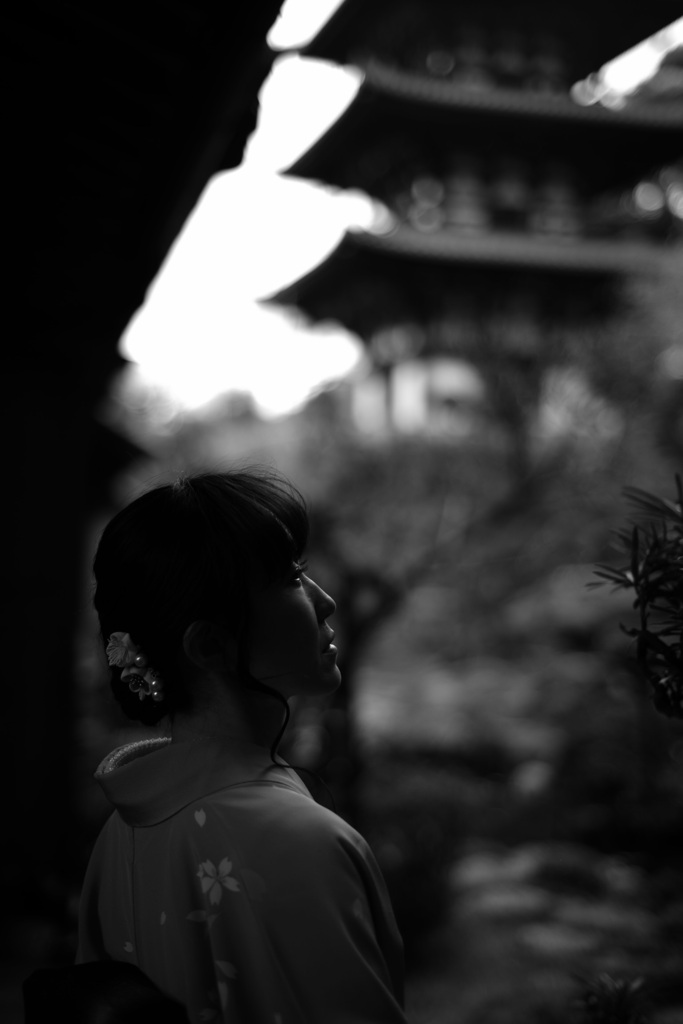 モノクロームの夢