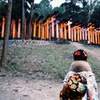 お年玉