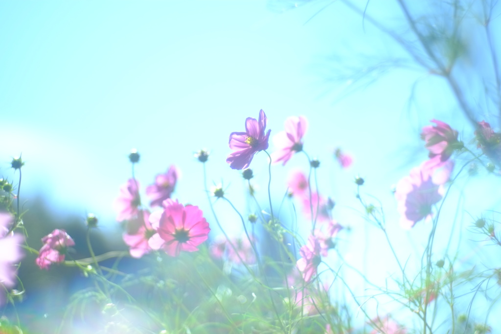 光線