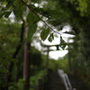 縁結び