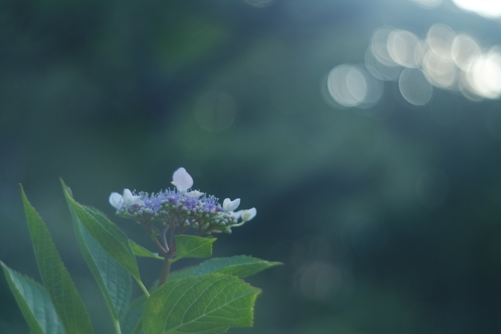 雨の止まないことはない