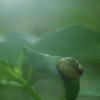 雨の前